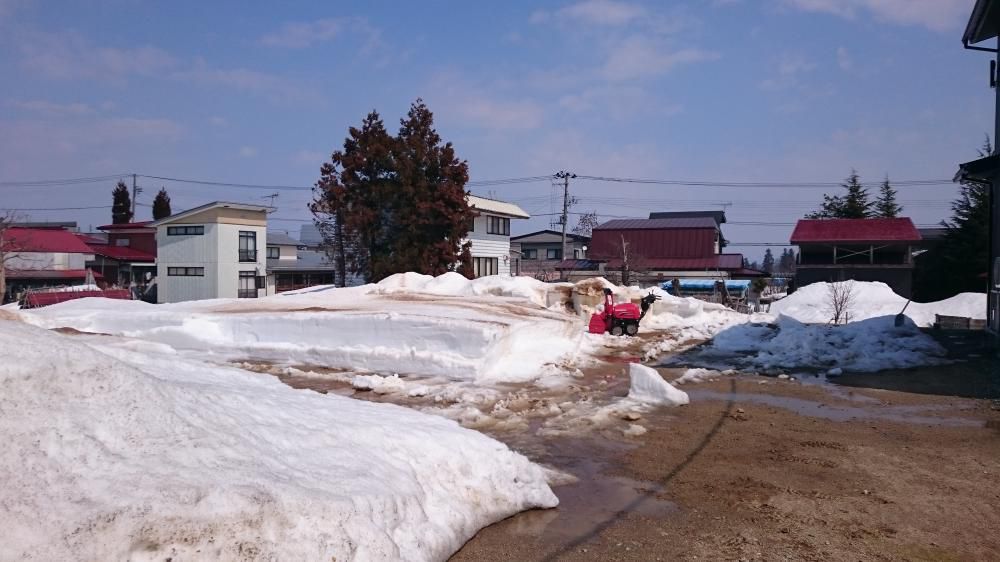 【雪もどし】