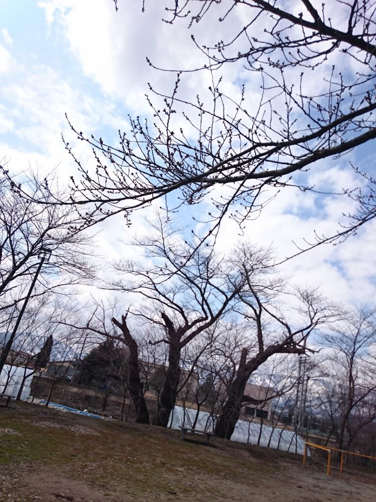 こんにちは