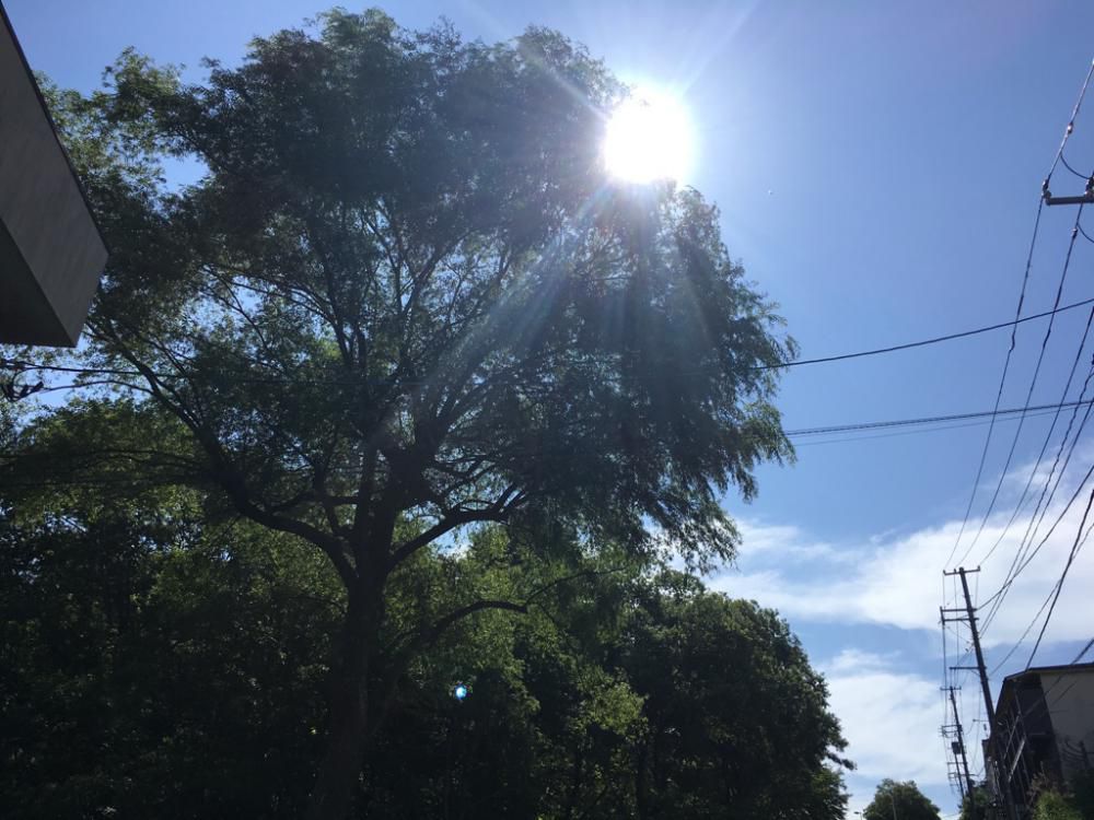 久々の青空のこと