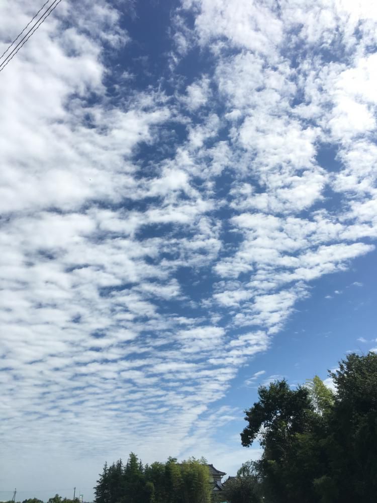 夏と秋のあいだ！