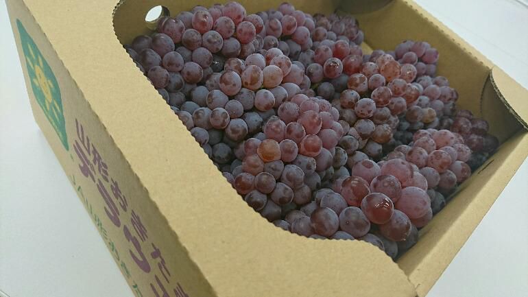 つよしさんからの贈り物