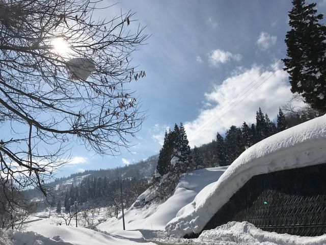 ＋゜。* 雪国 *。゜＋