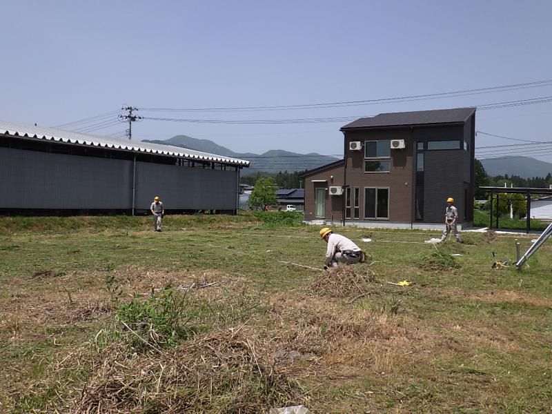 現地調査