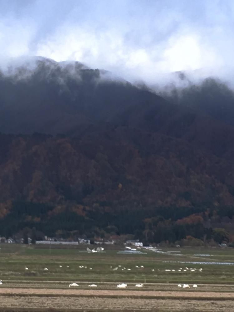 秋風景