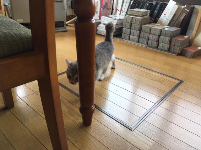 新規ご来場