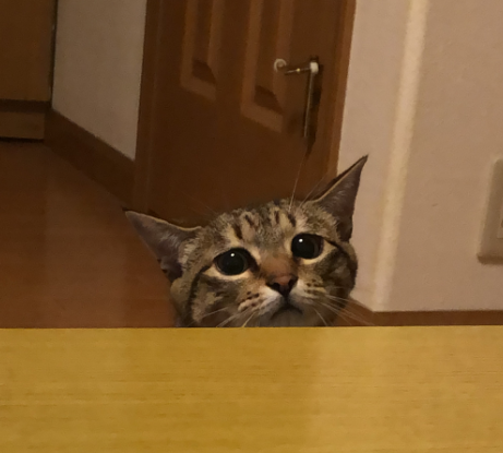 気を付けて下さい！