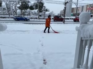 なかなかの雪