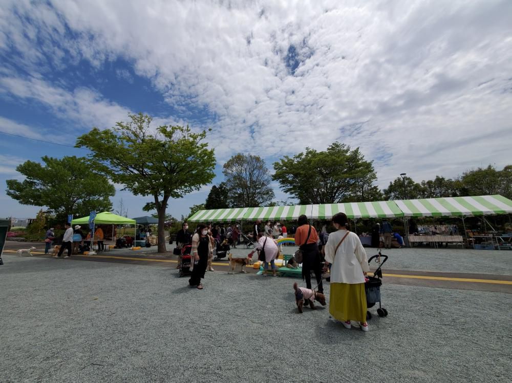 「仙台わん子マルシェ・2021春」に参加してきました♪