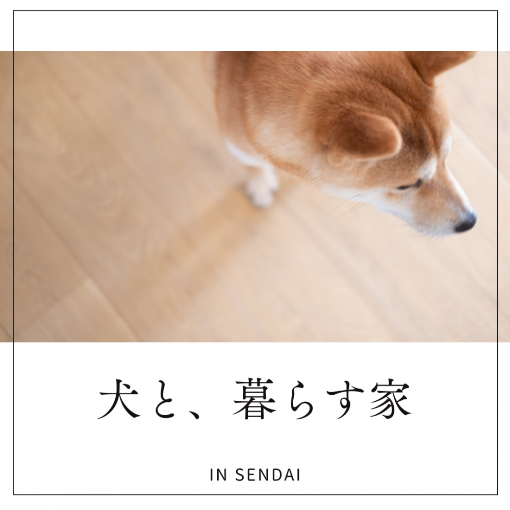 犬と暮らす家