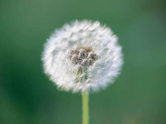 もう初夏ですね。