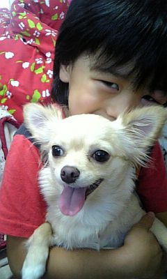 久しぶりです。