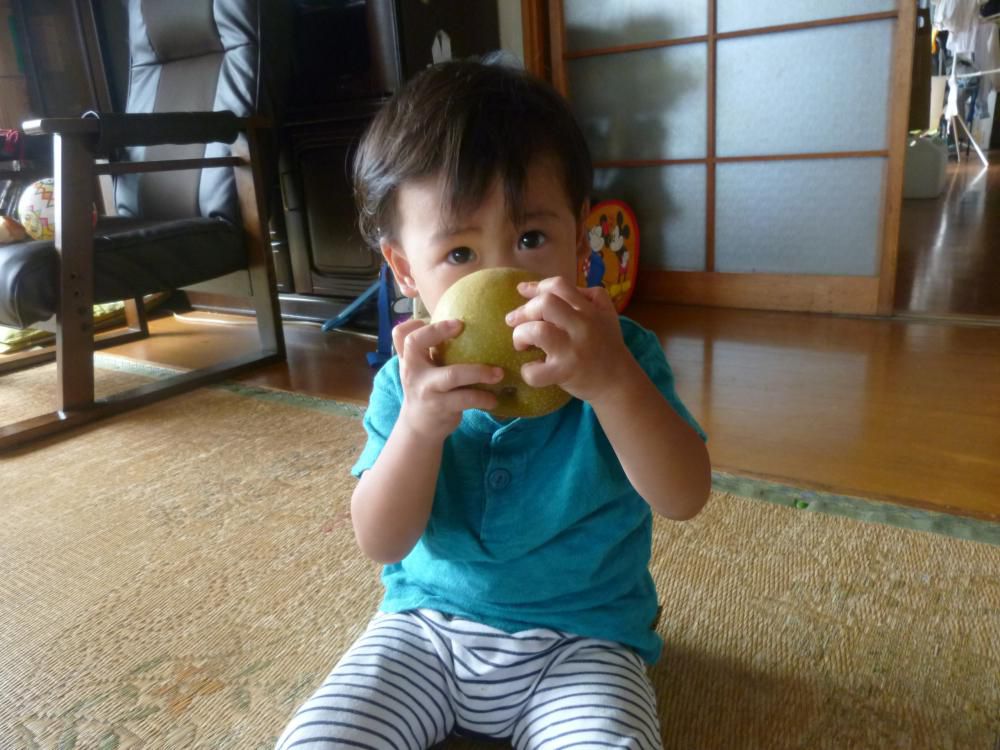 梨が届きました。