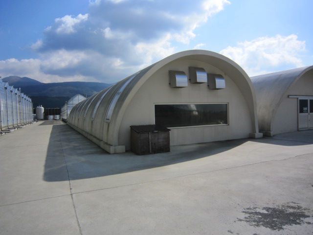 ドームハウス野菜工場見学してきました。