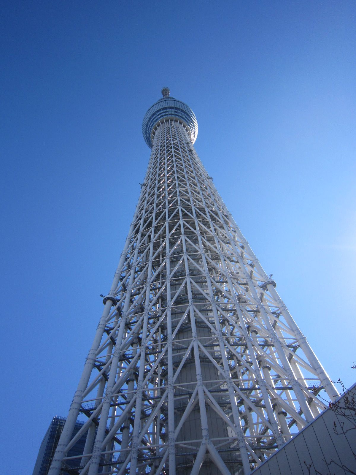 よっ！日本一！