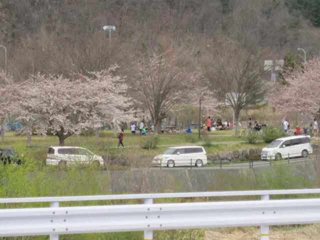 「対岸の花見」楽しそうです！！