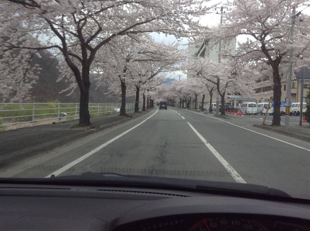 一年一度の一週間の楽しみ！