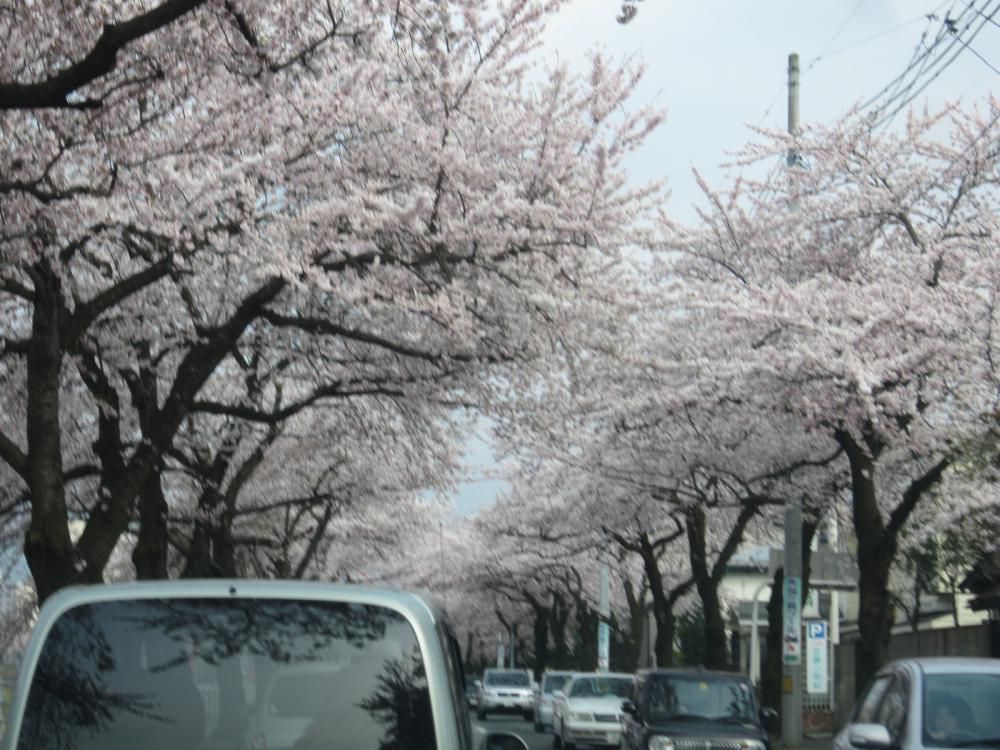 「私のしろい家」　明日より『空気と水と光』をテーマに「春の感謝祭＆相談会」開催します。