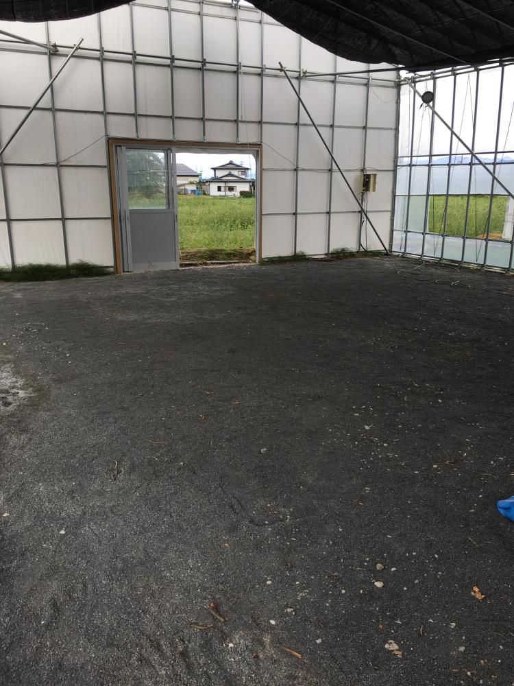 たまねぎ出荷完了