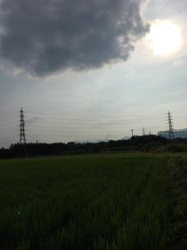 暑い
