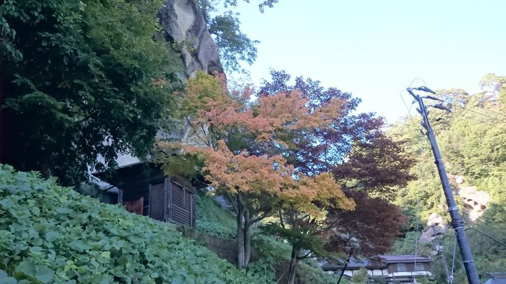 紅葉(^o^)