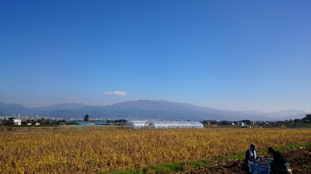 今日の蔵王 ＼(^o^)／