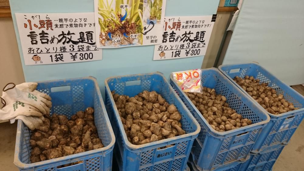 悪戸芋詰め放題！