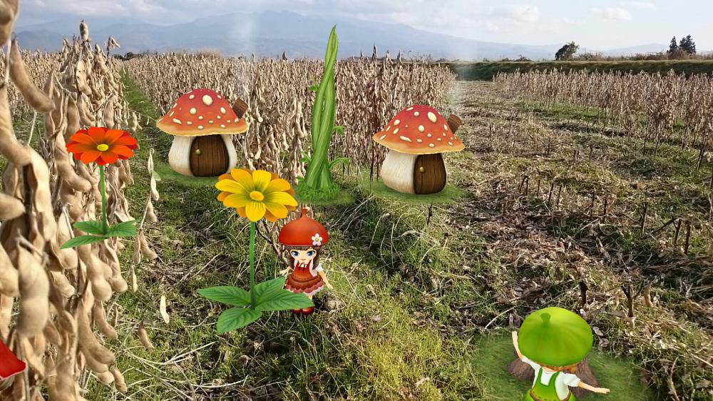 見つけてしまった！