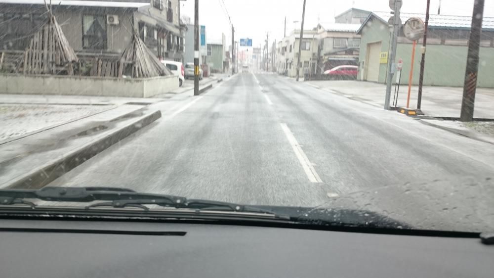 農大研修！雪が！