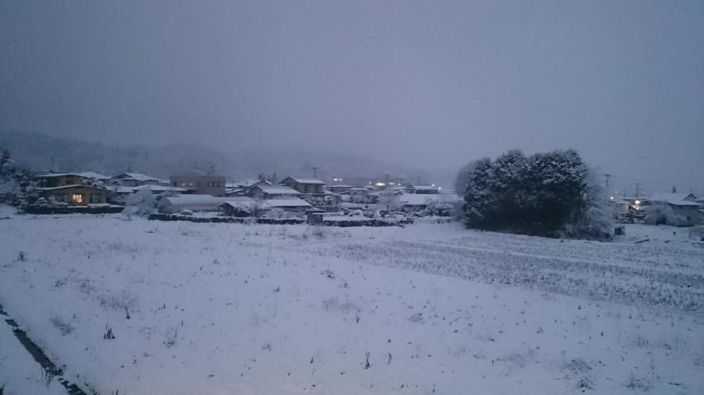 やっと！