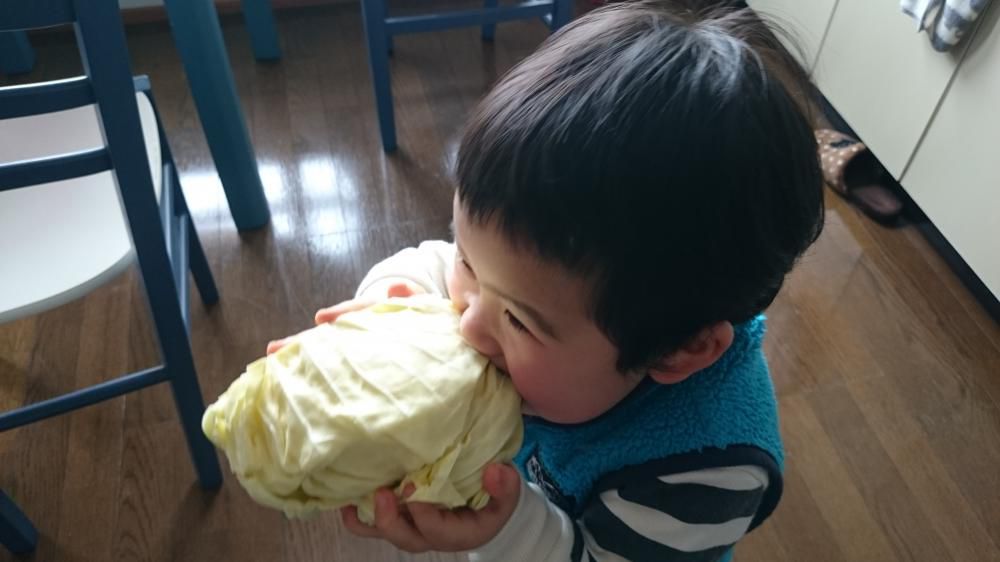 キャベツはこう食べろ！