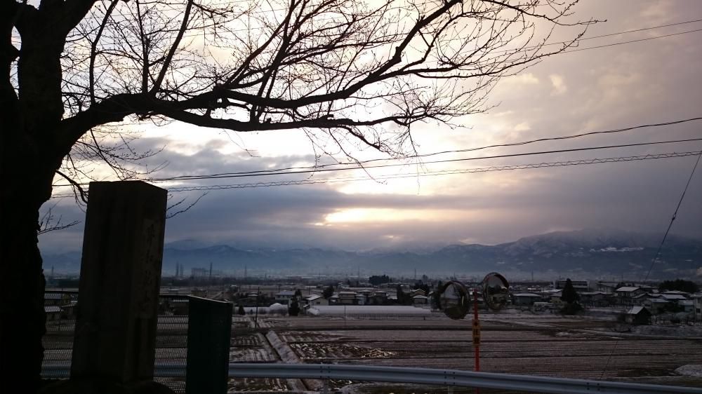 小学校サクラの防除！