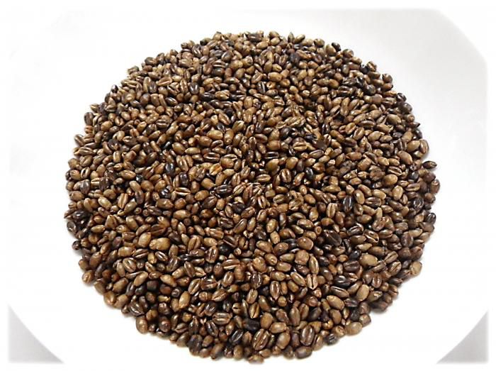 無農薬で栽培した小麦で麦茶用に焙煎してみました