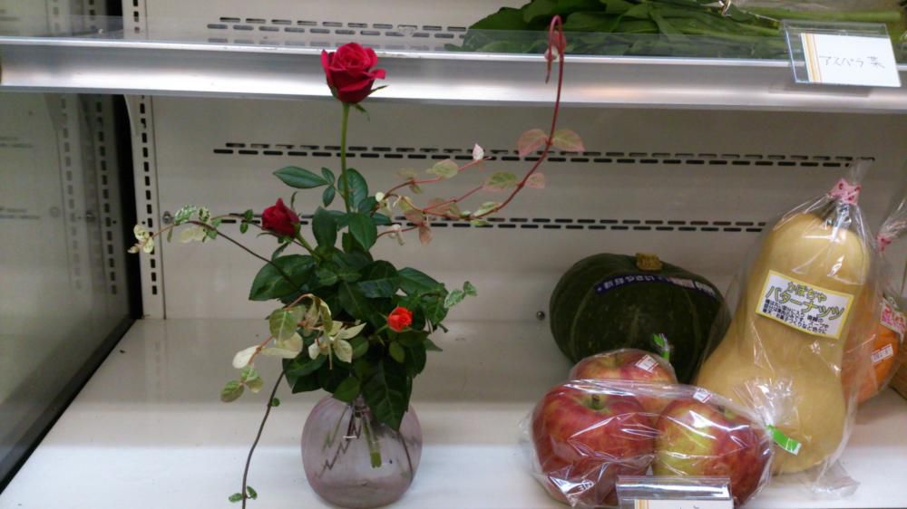 お花が届きました。