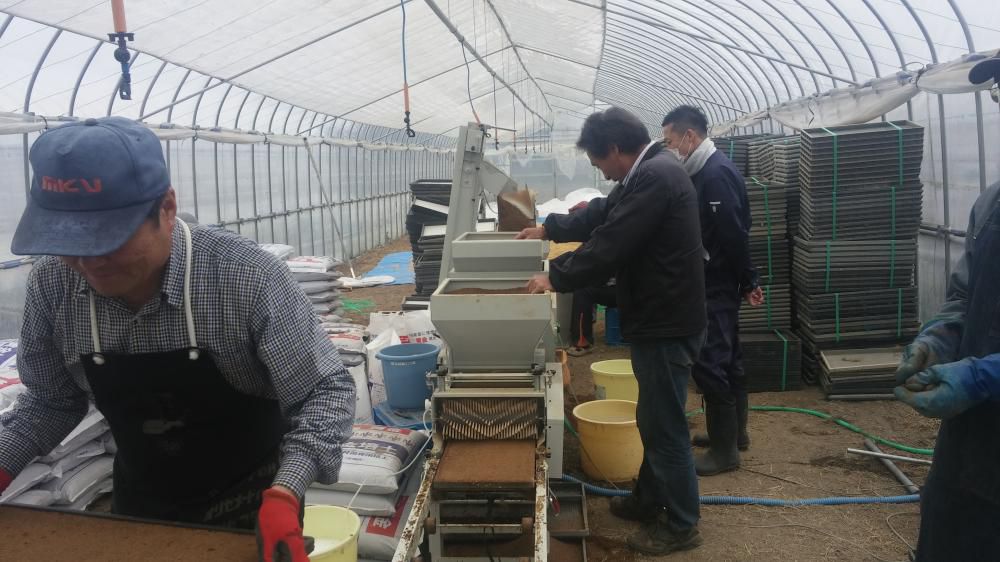 水稲播種作業