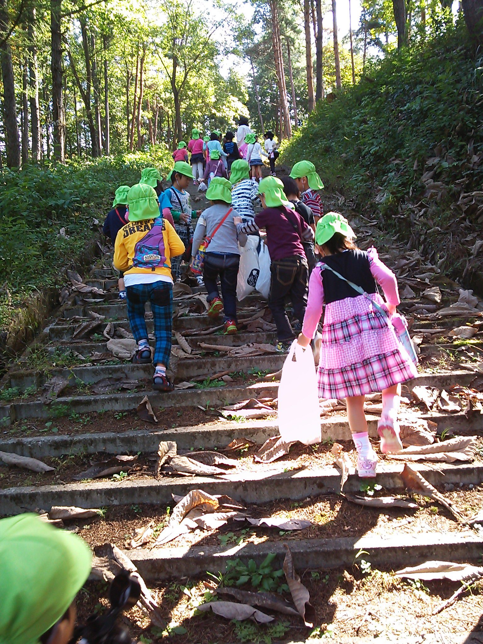長根山の秋探し＼(◎o◎)／