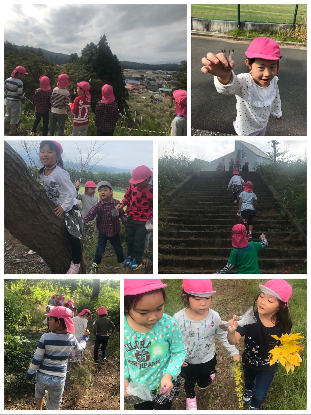 長根山散歩〔らいおんぐみ〕