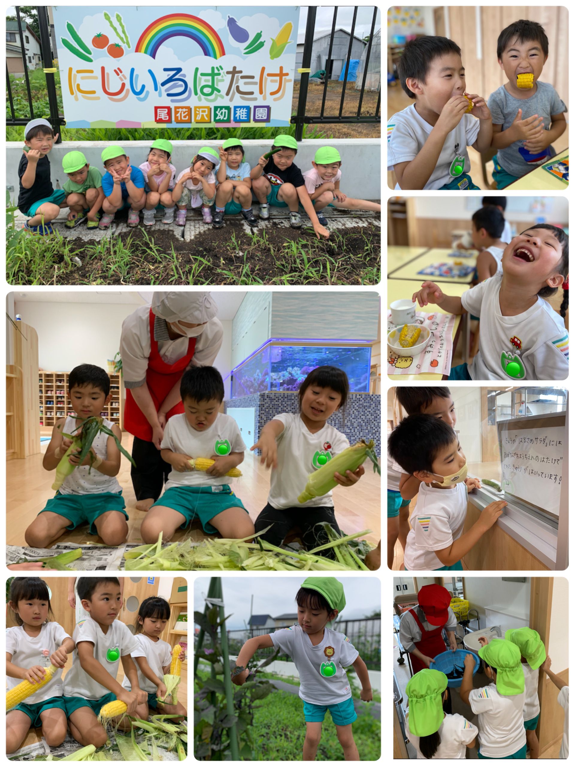 野菜の収穫(らいおん組)
