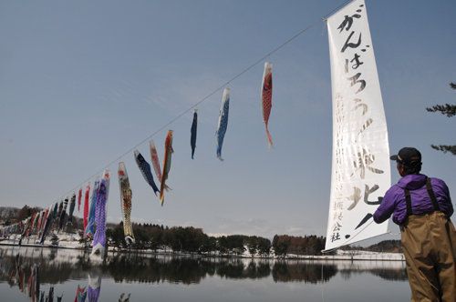 尾花沢市徳良湖桜咲き始めました