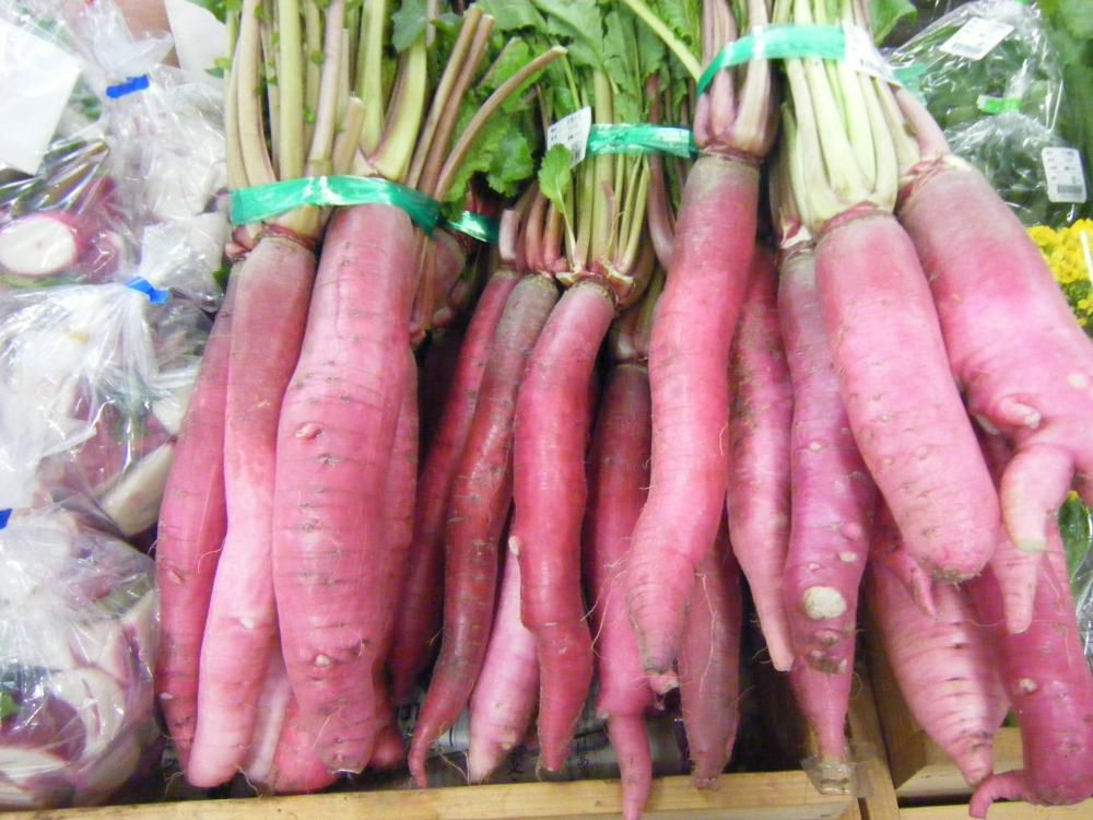 尾花沢伝承野菜「南沢かぶ」オーナー（蕪主）募集