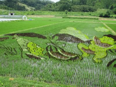 尾花沢市の田んぼアート