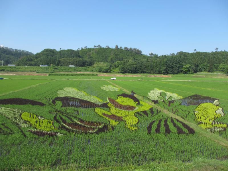 尾花沢市「田んぼアート」