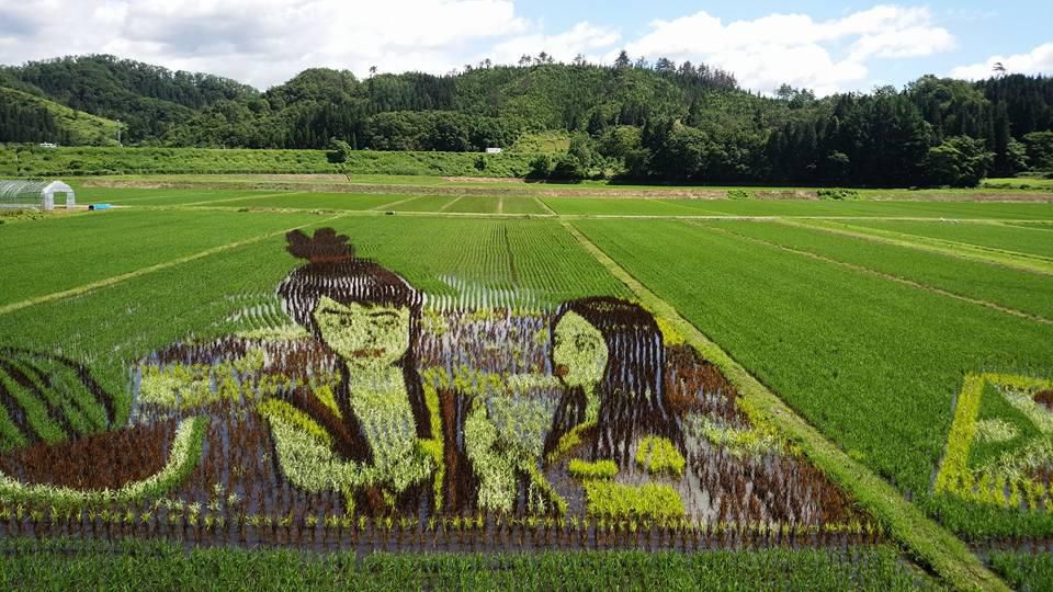 尾花沢市「田んぼアート」2か所くっきりと見えますよ