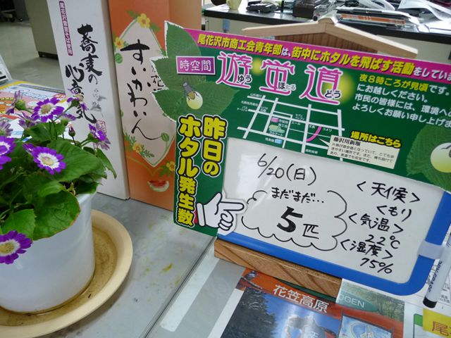 遊蛍道（ゆうほどう）ホタル発生状況（観察3日目）【尾花沢市商工会青年部】