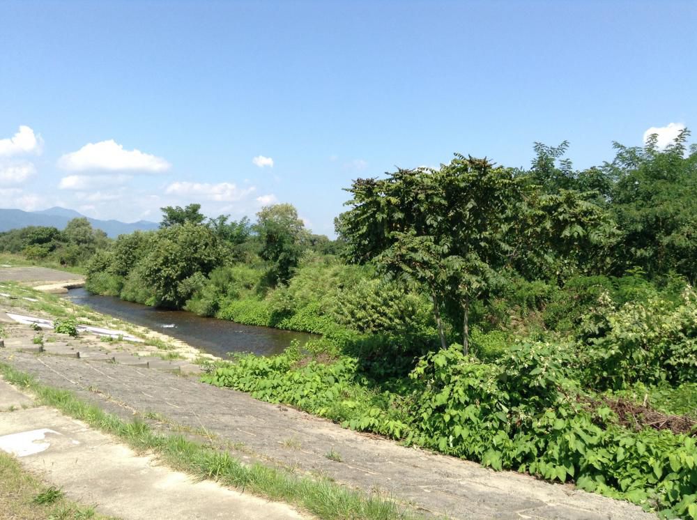 最上川河川緑地公園