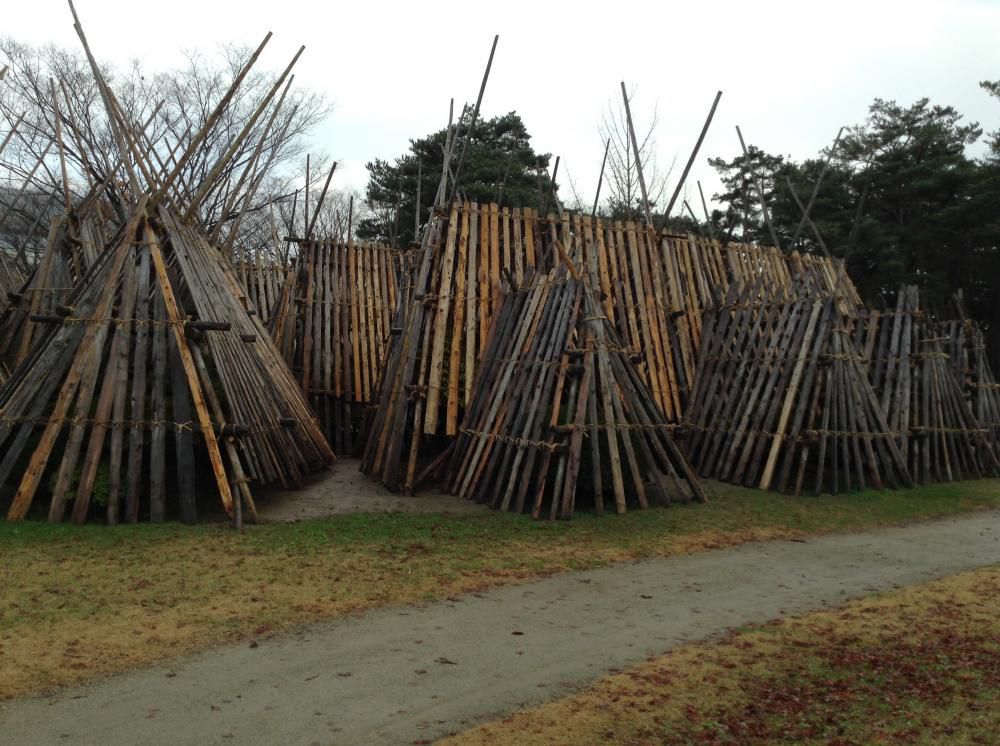 白つつじ公園 冬支度の技