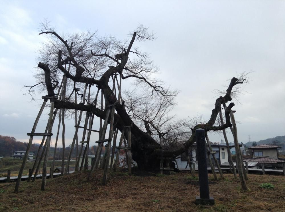 花の街 ながい