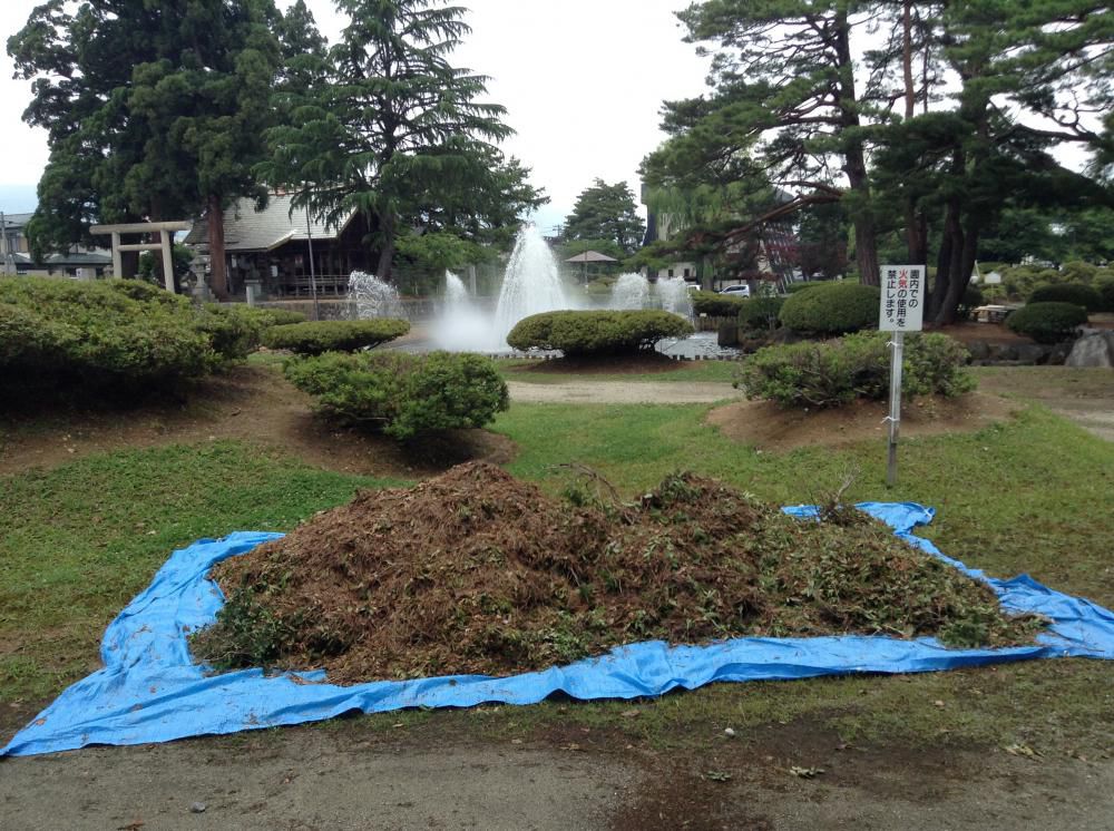 つつじ公園