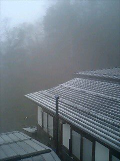 寒い・・・山奥では雪がチラチラと降ってきました。