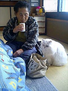 モンちゃんとゴン太の縁側日記