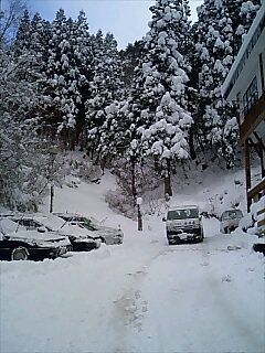 山は粉雪、里（市内）はドカ雪。。